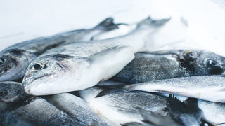 How to clean and fillet a whole fish at home