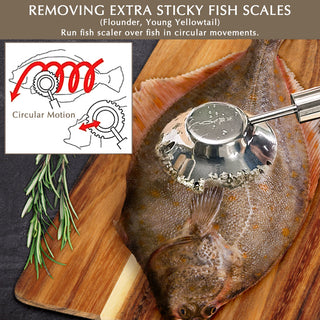 GINRIN Fish Scaler Brush Circle Sawtooth