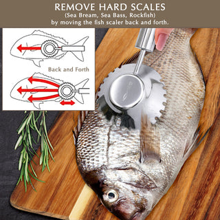 GINRIN Fish Scaler Brush Circle Sawtooth