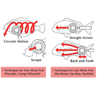 GINRIN Fish Scaler Brush Circle Sawtooth
