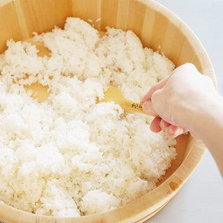 TIKUSAN Wooden Hangiri Sushi Oke Rice Mixing Tub Made of Momi Fir PP Band with Lid