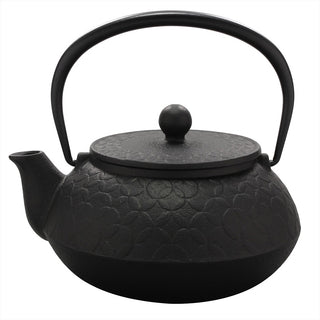 Japanese Cast Iron Tetsubin Teapot, 20 oz, Made in Japan
