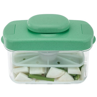 Instant Pickle Maker Vegetable Press Tsukemono Container Rectangle Made in Japan BPA Free (Green)