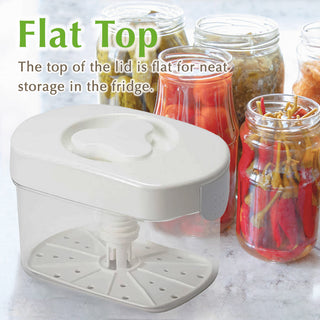 TIKUSAN Instant Pickle Maker Vegetable Press Tsukemono Container Rectangle Made in Japan BPA Free