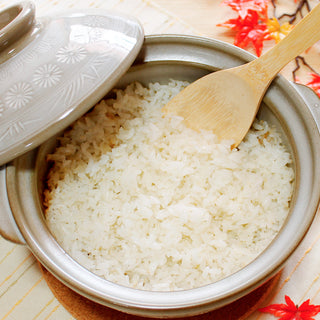 TIKUSAN Donabe Japanese Hot Pot Banko Ware Made in Japan