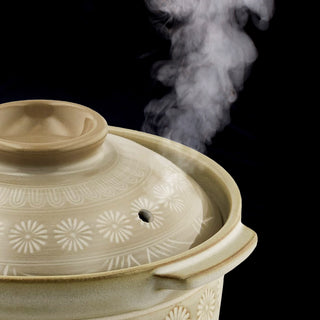TIKUSAN Donabe Japanese Hot Pot Banko Ware Made in Japan