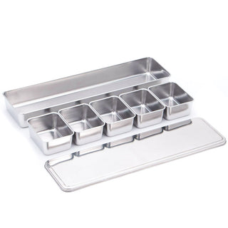 TIKUSAN Seasoning Container, Spice Jar, Yakumi Storage Box Stainless Steel with Lid R Size  Made in Japan (5 Containers)