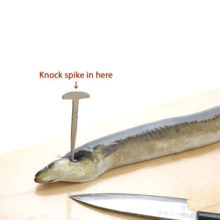 Meuchi Eel Spike T-shape