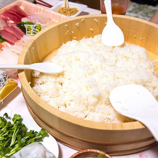 TIKUSAN Wooden Hangiri Sushi Oke Rice Mixing Tub Made of Momi Fir PP Band with Lid