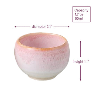 TIKUSAN Ceramic Japanese Sake Set Sakura Mino Ware 5 Set