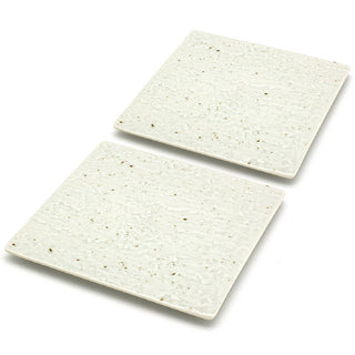 TIKUSAN Serving Platters, Sushi Plate Set of 2, Square Plates Made in Japan, Ceramic Plates for Dinner Party Restaurant for Appetizer, Meat, Dessert(White)