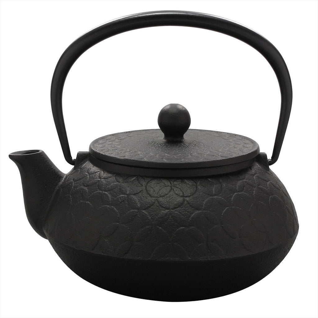 Japanese Cast Iron Tetsubin Teapot, 20 oz, Made in Japan Tikusan