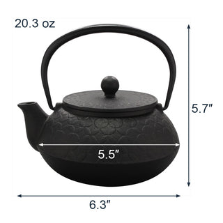 Japanese Cast Iron Tetsubin Teapot, 20 oz, Made in Japan