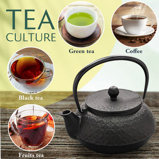 Japanese Cast Iron Tetsubin Teapot, 20 oz, Made in Japan