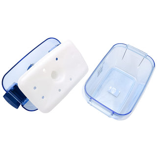 Instant Pickle Maker Vegetable Press Tsukemono Container Rectangle Made in Japan BPA Free (Blue)