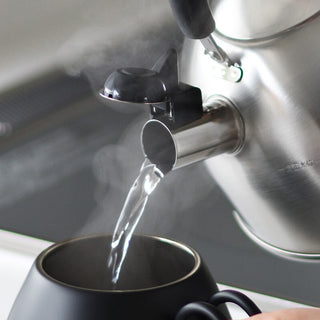Stainless Steel Whistling Kettle IH Compatible Made in Japan
