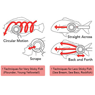 GINRIN Fish Scaler Brush Circle Sawtooth