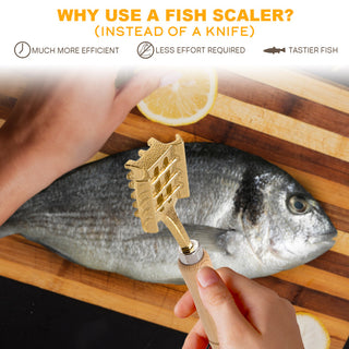 Fish Scaler Brass Blade Winged Design